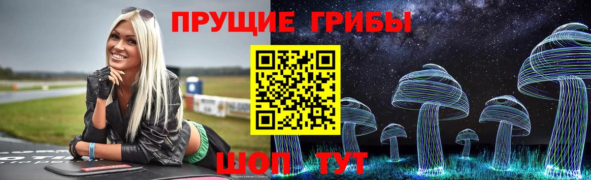сколько стоит  Псилоцибиновые грибы Cubensis  Вход с VPN  Уфа 